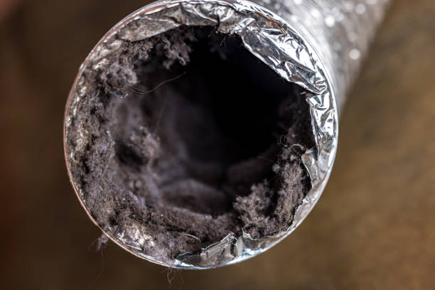 Best HVAC Maintenance and Cleaning  in Glendale Heights, IL