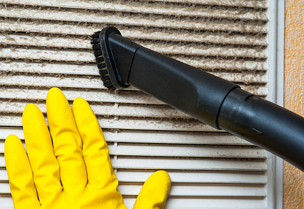 Best Air Duct Mold Removal  in Glendale Heights, IL